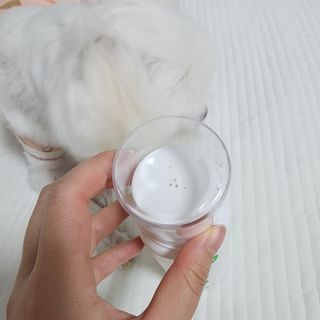 whol 키토클린 200ml - 항균항바이러스 강아지 눈 코 입 귀 세정탈취 고양이 턱드름제거 무향 워터리스 대용량 — 5점을 준 리뷰어가 2022년 10월 올린 사용 사진
