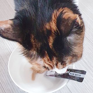 JENNY님이 올린 리뷰 사진 3