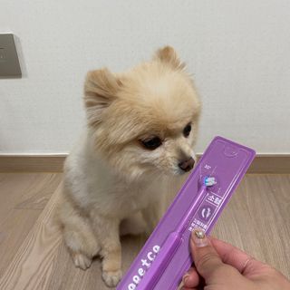 세지니힛님이 올린 리뷰 사진 3