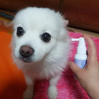 바나나님이 올린 리뷰 사진 2
