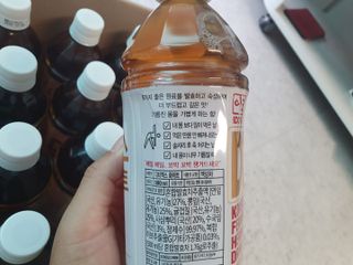 이도 발효한차 디티엑스 화이트 500ml 20병 — 4.5점을 준 리뷰어가 2021년 8월 올린 사용 사진