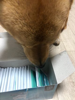 잘되길바래솔이님이 올린 리뷰 사진 3