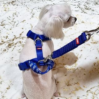 banew님이 올린 리뷰 사진 1
