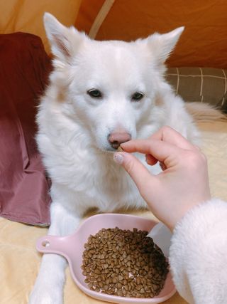 bori0924님이 올린 리뷰 사진 4