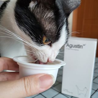 LEo님이 올린 리뷰 사진 3