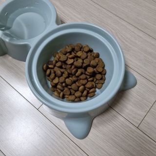 캐닌캐비어 알카라인 홀리스틱 그레이프리 앙뜨레 ALS_4종 오픈스카이, 와일드오션, 프리스피릿, 스페셜니즈 — 5점을 준 리뷰어가 2023년 2월 올린 사용 사진