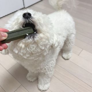 윰쏘님이 올린 리뷰 사진 4