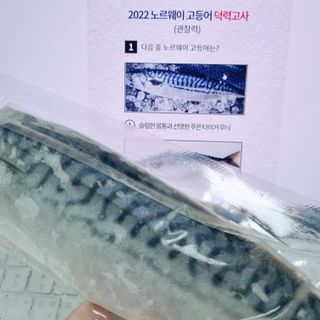㈜금호통상 노르웨이 고등어 900g (6~10편) — 5점을 준 리뷰어가 2022년 11월 올린 사용 사진