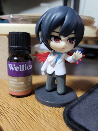 웰리카_V CARE 웰리카 락토 리프레싱 이너퍼퓸 10ml — 5점을 준 리뷰어가 2021년 3월 올린 사용 사진