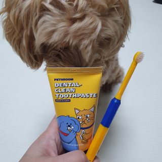 Pethroom 페스룸 PETHROOM DENTAL CARE SET 페스룸 덴탈 케어 세트 / 덴탈 클린 칫솔 + 덴탈 클린 치약 — 5점을 준 리뷰어가 2020년 12월 올린 사용 사진