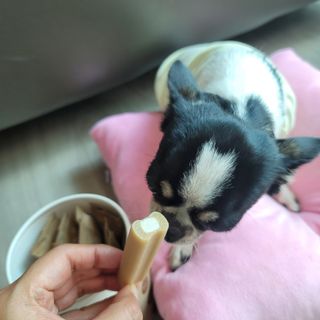 썽이mom앙꼬님이 올린 리뷰 사진 1