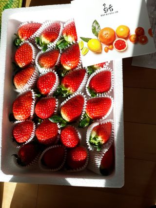 옳음 딸기 논산 설향 딸기 900g 산지직송 — 5점을 준 리뷰어가 2021년 1월 올린 사용 사진