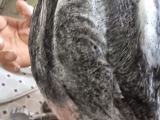 프리마인 더이상 뻣뻣하고 효과없는 탈모샴푸는 NO. 근본부터 케어하는 셀베이스 그린티샴푸(500ml) — 5점을 준 리뷰어가 2023년 3월 올린 사용 사진