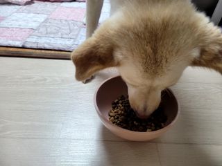 쥬롱이님이 올린 리뷰 사진 2