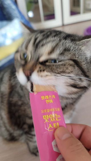 페페로니 맛있는 스틱 - 무항생제 닭고기 15개 + 알래스카 연어 15개 — 5점을 준 리뷰어가 2021년 8월 올린 사용 사진