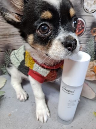 글라라님이 올린 리뷰 사진 2