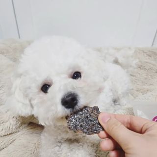리애나님이 올린 리뷰 사진 2