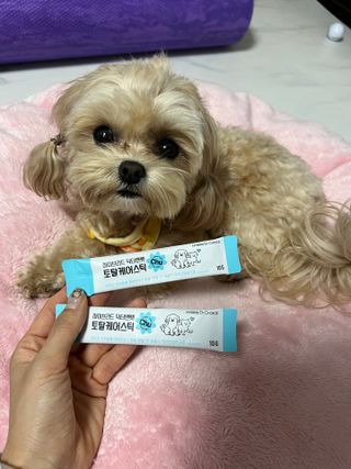 조아해1128님이 올린 리뷰 사진 1