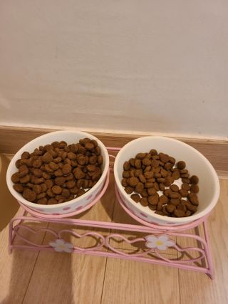 랴슈벨라님이 올린 리뷰 사진 2