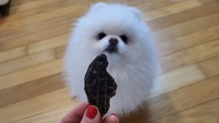 비니씨님이 올린 리뷰 사진 4