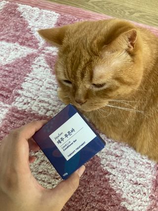 제주인디 제주 푸른바 카멜리아 컨디셔너 — 5점을 준 리뷰어가 2021년 12월 올린 사용 사진
