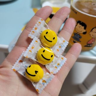 푸들ol님이 올린 리뷰 사진 2