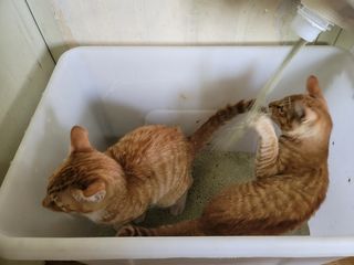 정후맘님이 올린 리뷰 사진 4