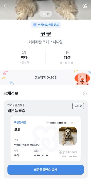유키코코샤넬님이 올린 리뷰 사진 4