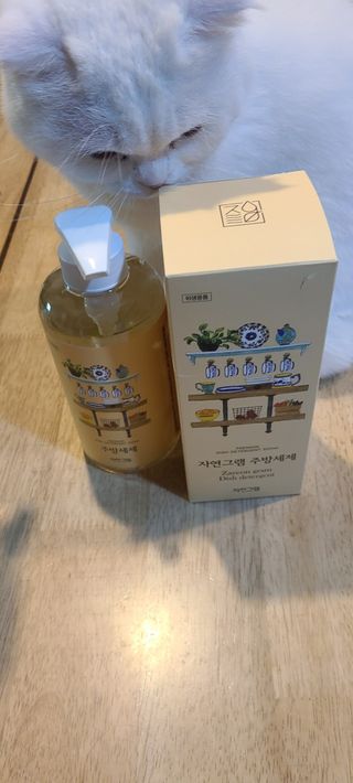 논지님이 올린 리뷰 사진 2