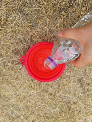 몽베스트 [MONTBEST]위드어스 500mL 20병 — 5점을 준 리뷰어가 2022년 6월 올린 사용 사진