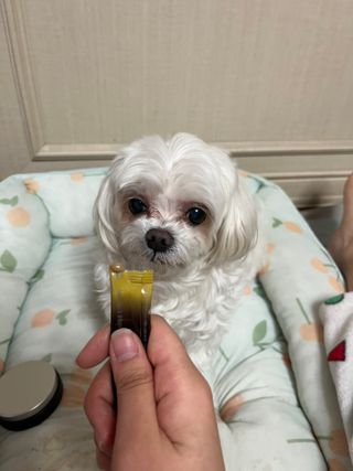 O_zl님이 올린 리뷰 사진 2