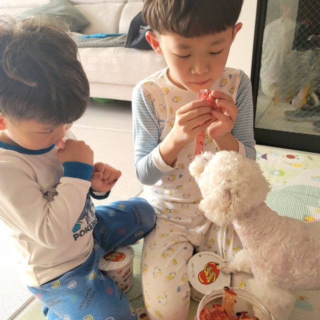 젤리벨리 젤리스틱 어쏘티드 900g 리뷰 사진