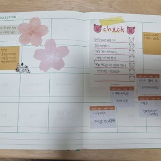 망고나나님이 올린 리뷰 사진 1