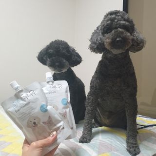 주현하님이 올린 리뷰 사진 2