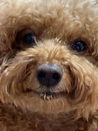 블루민님이 올린 리뷰 사진 3