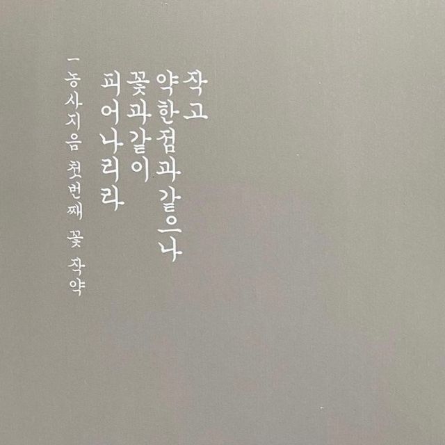 약콩과 작두콩으로 만든 오늘두유 작약 리뷰 사진