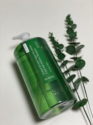 닥터시드 티트리 앤 라임 비건 지성케어 쿨 탈모 샴푸 (1000ml) — 5점을 준 리뷰어가 2023년 12월 올린 사용 사진