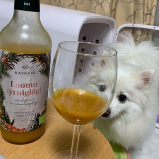 H365 [Kaskein Luomutyrniglögi] 핀란드 전통 무알콜 멀드와인 시벅톤 글로기 — 5점을 준 리뷰어가 2021년 5월 올린 사용 사진