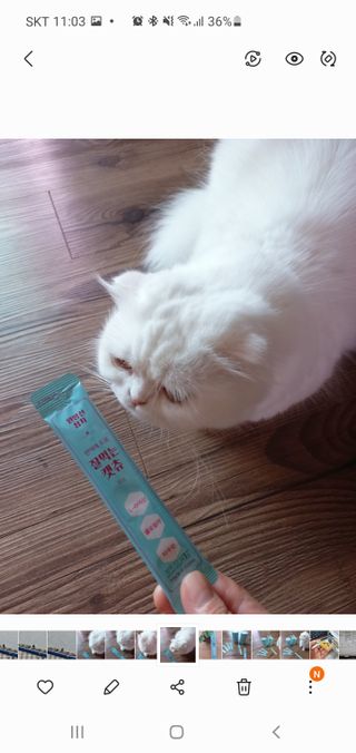 좋아님이 올린 리뷰 사진 2
