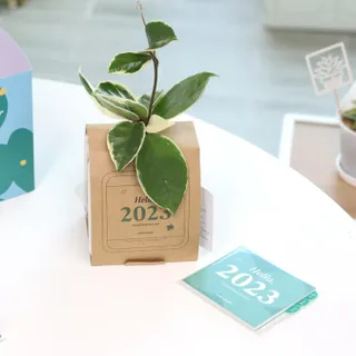 [메이크정글] 식물과 달력이 하나로, 2023년 식물캘린더 No.1 — 5점을 준 리뷰어가 2022년 10월 올린 사용 사진