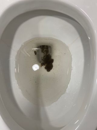 카멜레님이 올린 리뷰 사진 4