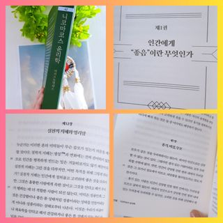 고은아이 릴리🌸님이 올린 리뷰 사진 4