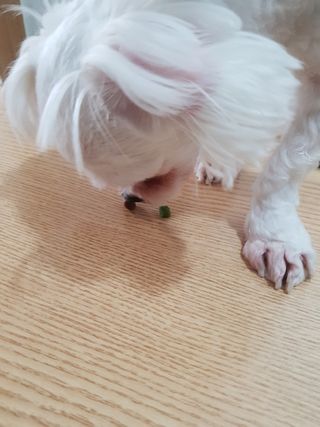 셀린님이 올린 리뷰 사진 4