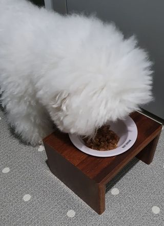 비타크래프트 조에시 하트캔 85g 강아지 습식캔 10캔 — 5점을 준 리뷰어가 2021년 9월 올린 사용 사진