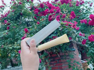 삐딱한펭귄님이 올린 리뷰 사진 2