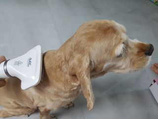 찬이애비님이 올린 리뷰 사진 1