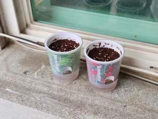 joanna님이 올린 리뷰 사진 2