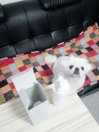 페키아름님이 올린 리뷰 사진 4