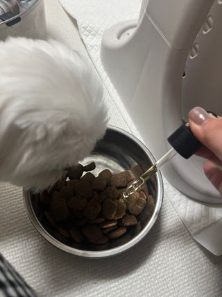 린짱님이 올린 리뷰 사진 3