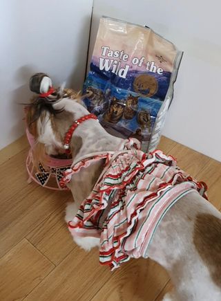 신지님이 올린 리뷰 사진 2